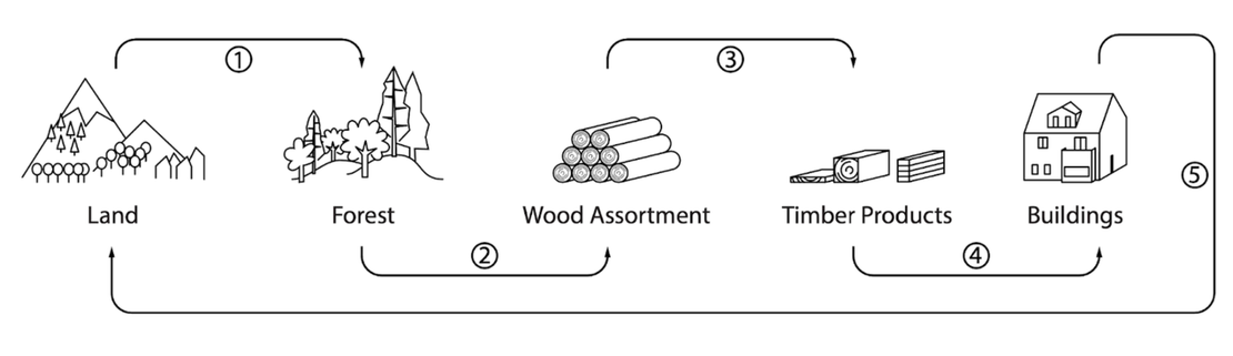 Mainstreaming Wood in Construction: A Holistic Approach